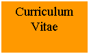 Text Box: Curriculum Vitae