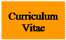 Text Box: Curriculum Vitae
