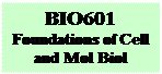 Text Box: BIO601
Foundations of Cell and Mol Biol
