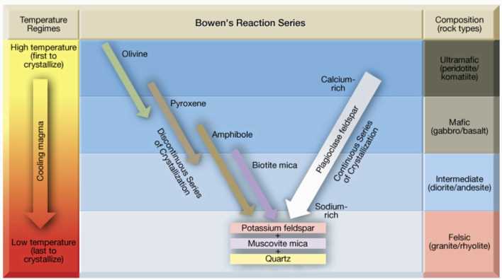 bowens reaction series
