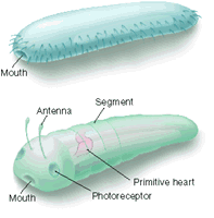 BIOLOGY