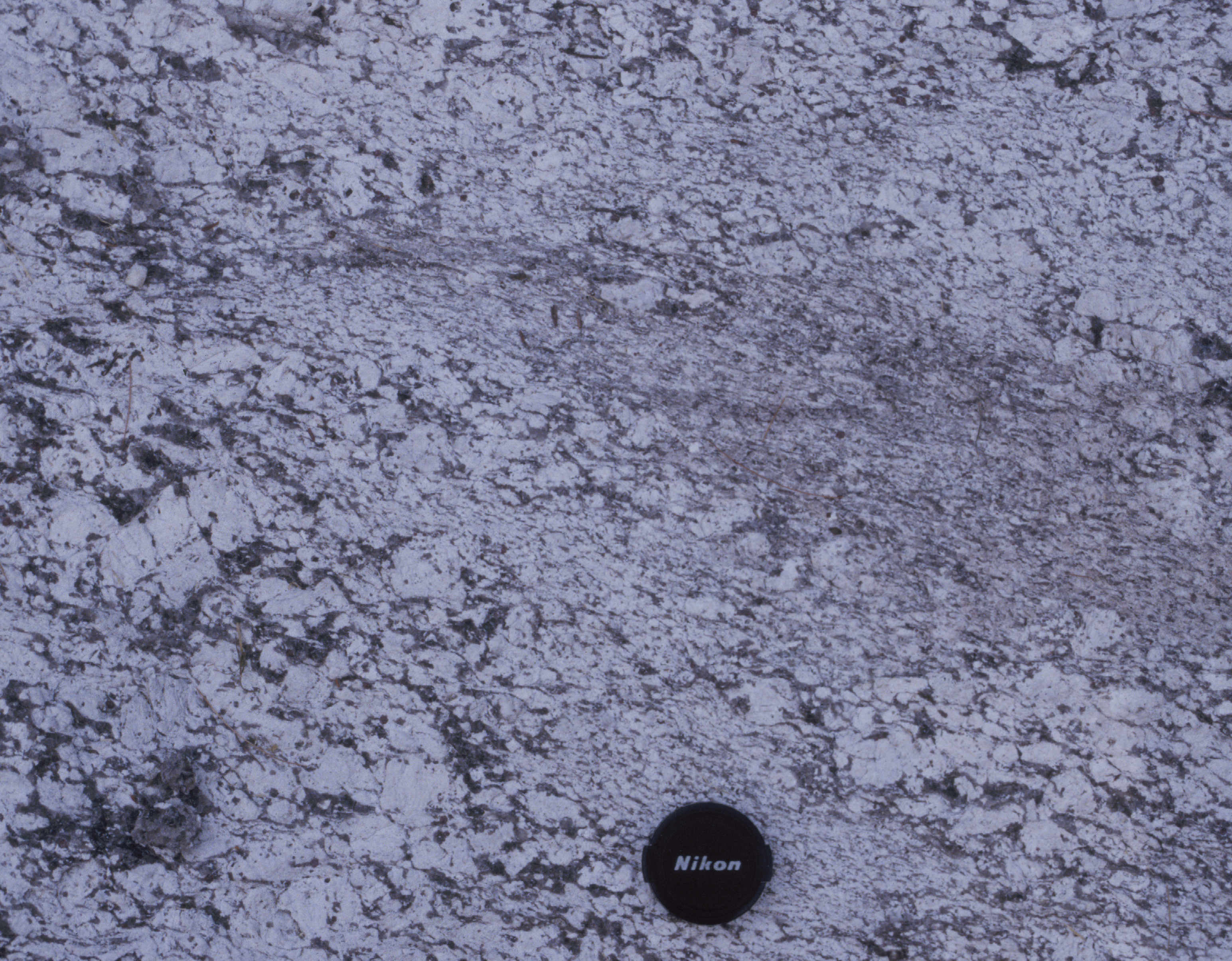 Sebago foliated granite